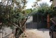 Appartamento in vendita con giardino a Murlo - 02