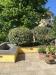 Casa indipendente in vendita con giardino a Fivizzano - 05
