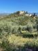 Villa in vendita con giardino a Carmignano - 03