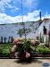 Casa indipendente in vendita con giardino a Viareggio - centro - 03