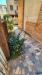 Villa in vendita con giardino a Viareggio - ex campo di aviazione - 02