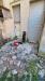 Villa in vendita con giardino a Viareggio - ex campo di aviazione - 05