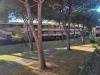 Appartamento monolocale in vendita a Bibbona - marina di - 02