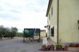 Attivit commerciale in vendita con giardino a Magliano in Toscana - 03