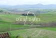 Attivit commerciale in vendita con giardino a Scansano - 10