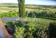 Attivit commerciale in vendita con giardino a Scansano - 10