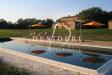 Attivit commerciale in vendita con giardino a Civitella Paganico - 10