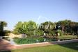 Villa in vendita con giardino a Castiglione della Pescaia in podere san girolamo - 08