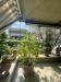 Villa in vendita con giardino a Grosseto in via campagnatico - 03