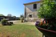 Rustico in vendita con giardino a Magliano in Toscana - 05