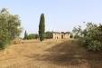 Rustico in vendita con giardino a Grosseto in strada delle campore - 09