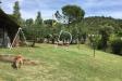 Terreno in vendita con giardino a Cinigiano in localit podere santa giovanna d'arco - 10
