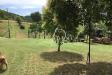 Terreno in vendita con giardino a Cinigiano in localit podere santa giovanna d'arco - 08