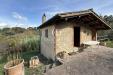Rustico in vendita con giardino a Cinigiano in podere salcio - 09
