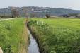 Terreno in vendita a Massa Marittima in loc. valpiana - 05