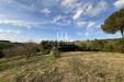 Attivit� commerciale in vendita con giardino a Magliano in Toscana in strada del bronzone - 03
