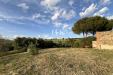 Attivit� commerciale in vendita con giardino a Magliano in Toscana in strada del bronzone - 04