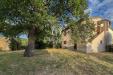 Attivit� commerciale in vendita con giardino a Magliano in Toscana in strada del bronzone - 06