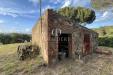 Attivit� commerciale in vendita con giardino a Magliano in Toscana in strada del bronzone - 07