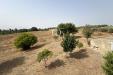 Attivit� commerciale in vendita con giardino a Magliano in Toscana in zona sant'andrea - 08