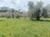 Casa indipendente in vendita a Viterbo in strada pian del cerro - 04, Foto 4