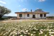 Villa in vendita a Barbarano Romano in localit monte merlo - 03, Foto 3