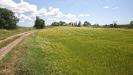 Terreno Agricolo in vendita a Viterbo in strada castiglione - 07, Foto 7