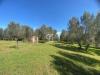 Terreno Agricolo in vendita a Vetralla in strada marchionato - 06, Foto 6