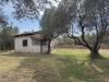Casa indipendente in vendita a Vetralla in localit pian di san martino snc - 03, Foto 3