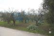 Terreno Edificabile in vendita a Martinsicuro in via ricci - 04, Foto 4