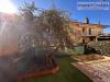 Appartamento in vendita con giardino a Spinetoli in via celso ulpiani - 02, Foto 2