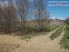 Terreno Agricolo in vendita a Spinetoli in via morrice - 03, Foto 3