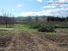 Terreno Agricolo in vendita a Spinetoli in via morrice - 05, Foto 5