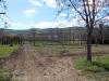Terreno Agricolo in vendita a Spinetoli in via morrice - 06, Foto 6