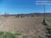 Terreno Agricolo in vendita a Spinetoli in via piave - 03, Foto 3