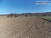 Terreno Agricolo in vendita a Spinetoli in via piave - 04, Foto 4