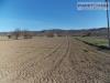 Terreno Agricolo in vendita a Spinetoli in via piave - 05, Foto 5