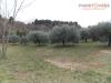 Terreno Agricolo in vendita a San Benedetto del Tronto in contrada santa lucia - 02, Foto 2
