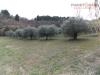 Terreno Agricolo in vendita a San Benedetto del Tronto in contrada santa lucia - 03, Foto 3