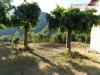 Casa indipendente in vendita con giardino a Acquasanta Terme in paggese - 10, Foto 10