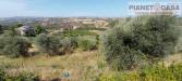 Terreno Agricolo in vendita a Castorano in via ferretti - 03, Foto 3