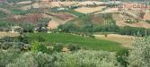 Terreno Agricolo in vendita a Castorano in via ferretti - 04, Foto 4