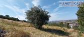 Terreno Agricolo in vendita a Castorano in via ferretti - 06, Foto 6