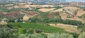 Terreno Agricolo in vendita a Castorano in via ferretti - 07, Foto 7