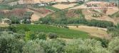 Terreno Agricolo in vendita a Castorano in via ferretti - 08, Foto 8
