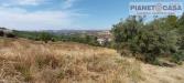 Terreno Agricolo in vendita a Castorano in via ferretti - 05, Foto 5
