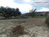 Terreno Agricolo in vendita a Monteprandone in via ottantatreesima strada - 04, Foto 4
