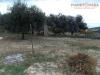 Terreno Agricolo in vendita a Monteprandone in via ottantatreesima strada - 05, Foto 5
