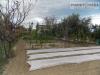 Terreno Agricolo in vendita a Monteprandone in via ottantatreesima strada - 06, Foto 6