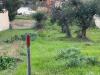 Terreno in vendita a Grottammare - ischia (zona sud di ) - 06